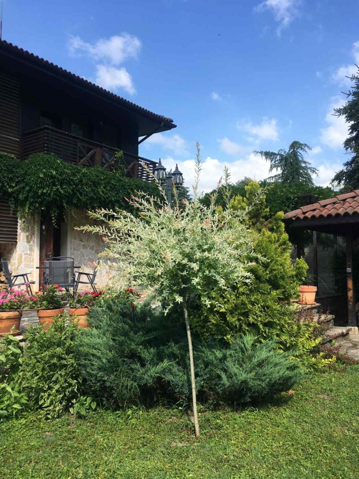 Eco Residence Ribarica Εξωτερικό φωτογραφία